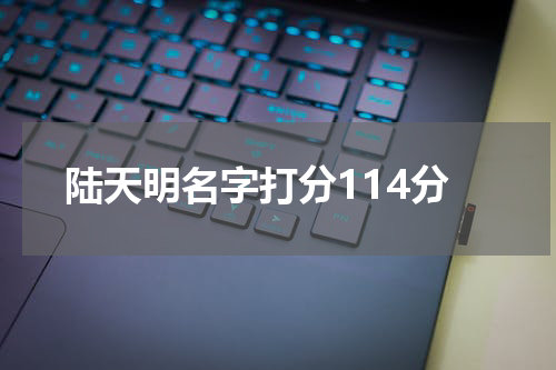 陆天明名字打分114分