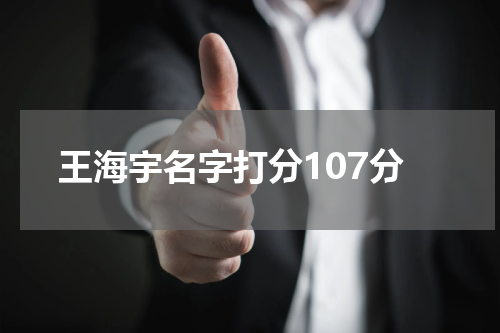 王海宇名字打分107分