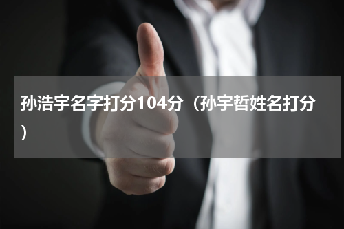 孙浩宇名字打分104分（孙宇哲姓名打分）