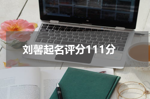 刘馨起名评分111分