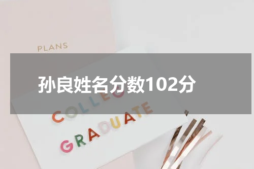 孙良姓名分数102分