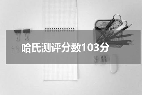 哈氏测评分数103分