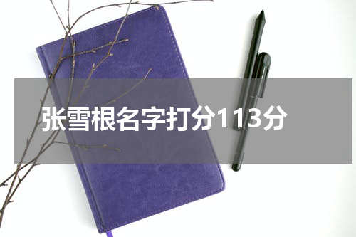 张雪根名字打分113分