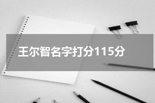 王尔智名字打分115分