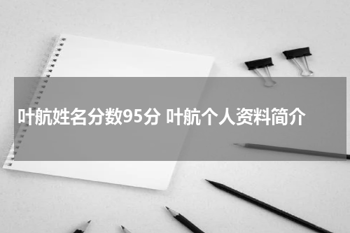 叶航姓名分数95分 叶航个人资料简介