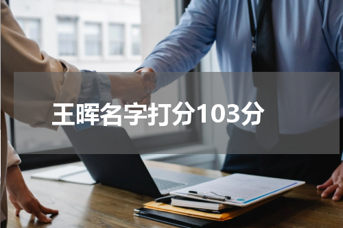 王晖名字打分103分