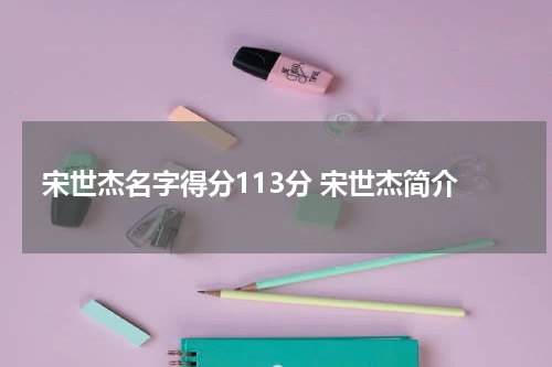 宋世杰名字得分113分 宋世杰简介