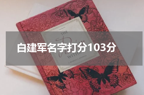 白建军名字打分103分