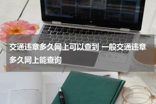 交通违章多久网上可以查到 一般交通违章多久网上能查询