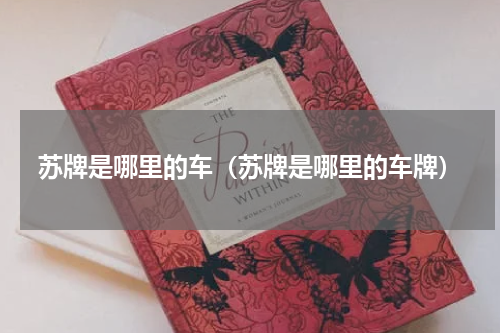 苏牌是哪里的车（苏牌是哪里的车牌）