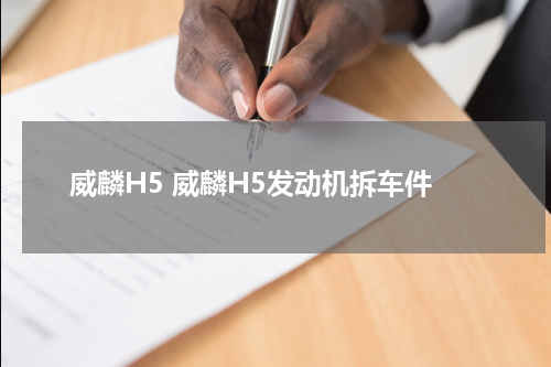 威麟H5 威麟H5发动机拆车件