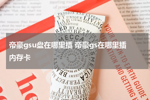 帝豪gsu盘在哪里插 帝豪gs在哪里插内存卡