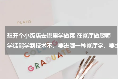 想开个小饭店去哪里学做菜 在餐厅做厨师学徒能学到技术不,要进哪一种餐厅学,要主意什么。